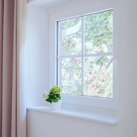 Alte Schmiede 3* Weisweil